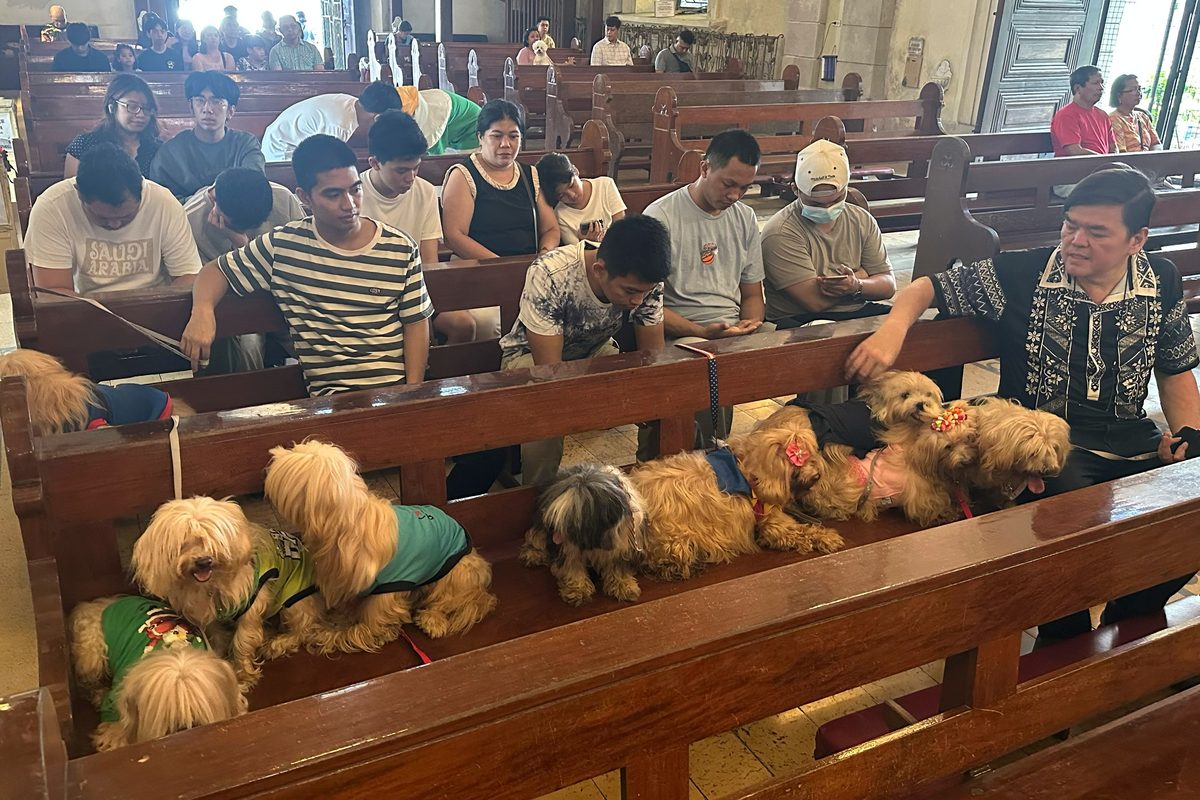 Holy Water for Furry Friends: Pets Blessed at Manila Church