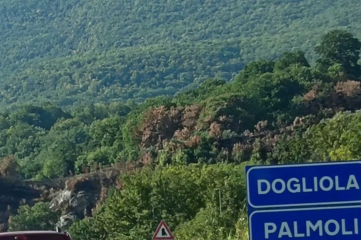 Famiglia nel bosco, bambini tornano a casa dopo 11 mesi: «È la fine del lungo esilio»