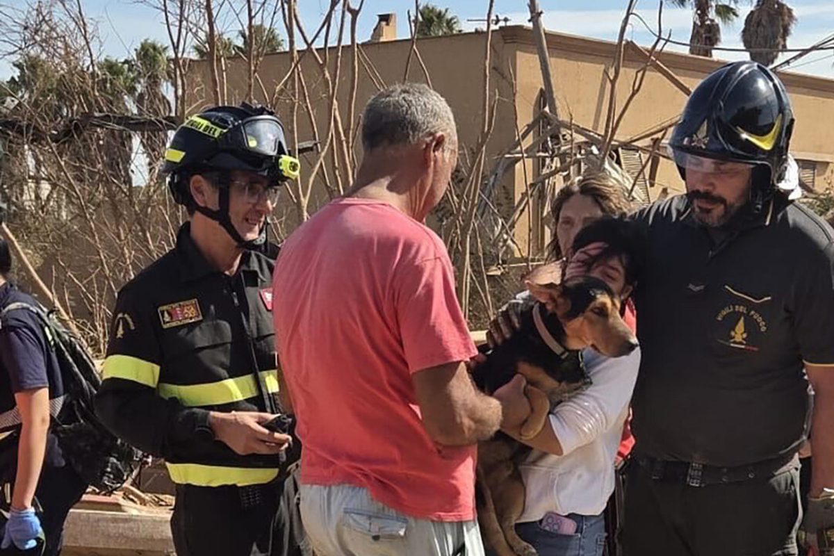 Tromba marina a Marsala: vigili del fuoco salvano un cane